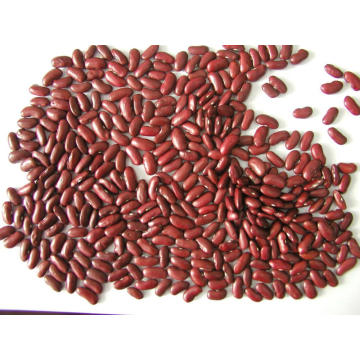 Red Kidney Beans for Sale